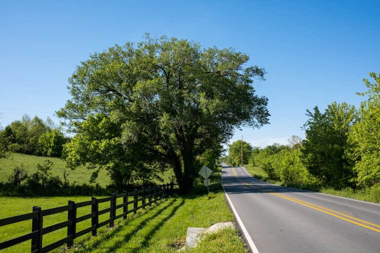 case-studies-state-transportation-department-the-solution