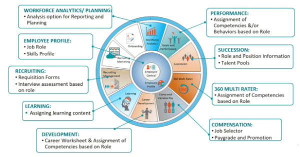 sap-job-profile-builder-overview-and-implementation-tips-rizing