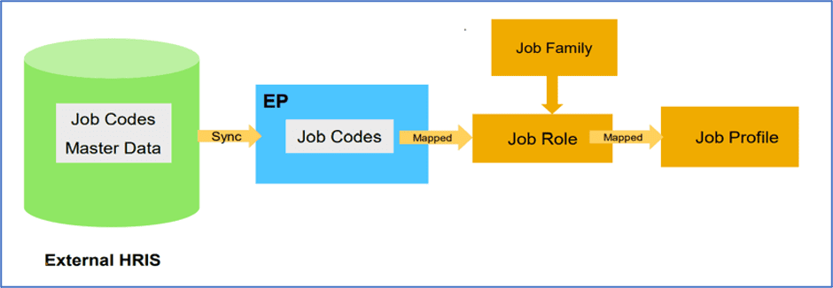 sap-job-profile-builder-overview-and-implementation-tips-rizing