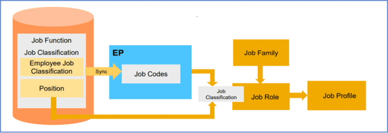 sap-job-profile-builder-overview-and-implementation-tips-rizing