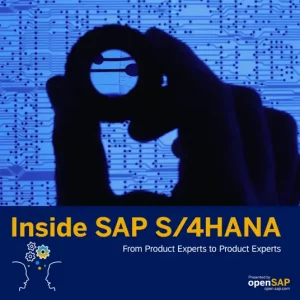 https://podcasts.apple.com/il/podcast/inside-sap-s-4hana-episode-72-learn-from-rizing-how/id1483791349?i=1000571307898